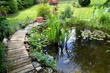 Ein Gartenteich bedeutet Hobby und Entspannung