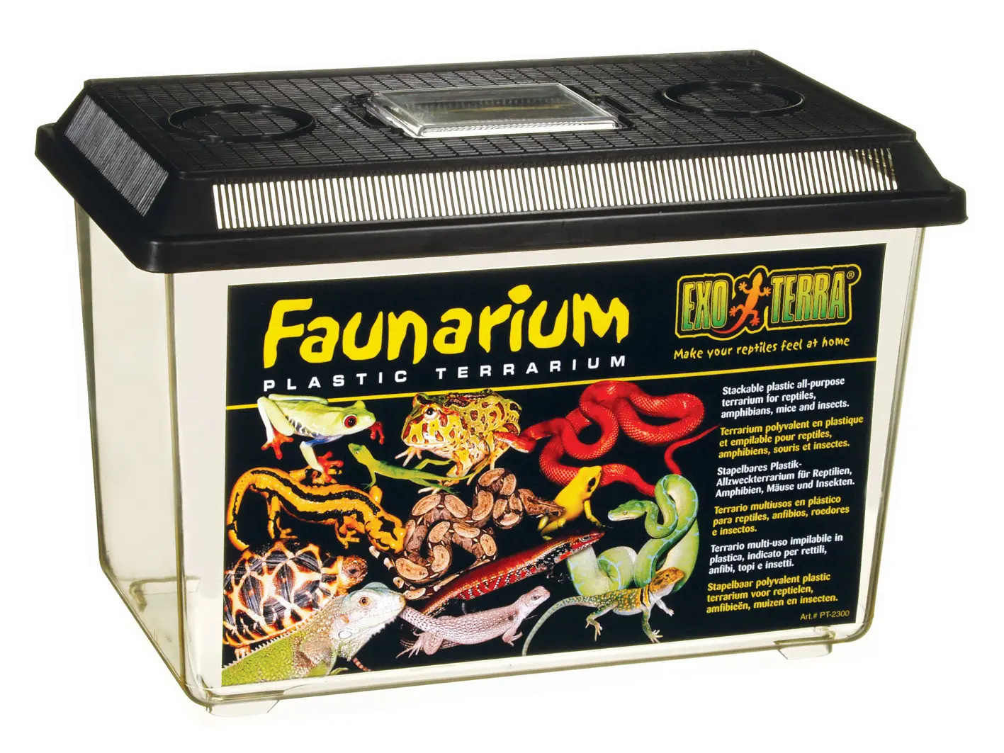Exo Terra Faunarium plat moyen Conteneur pour reptiles