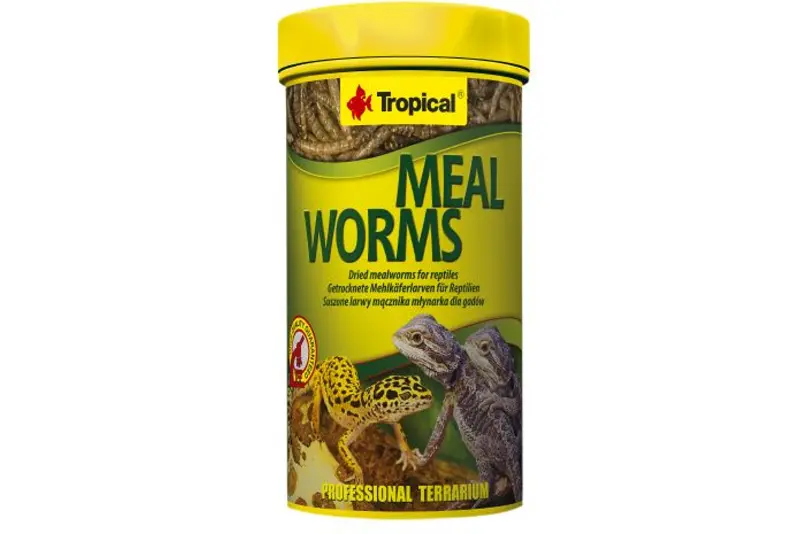 Tropical Meal Worms / vers de farine, 250 ml