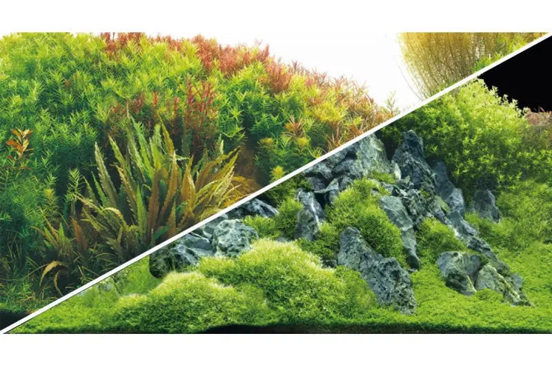 Film de fond Hobby Planted River/Green Rocks, 60 cm x 30 cm