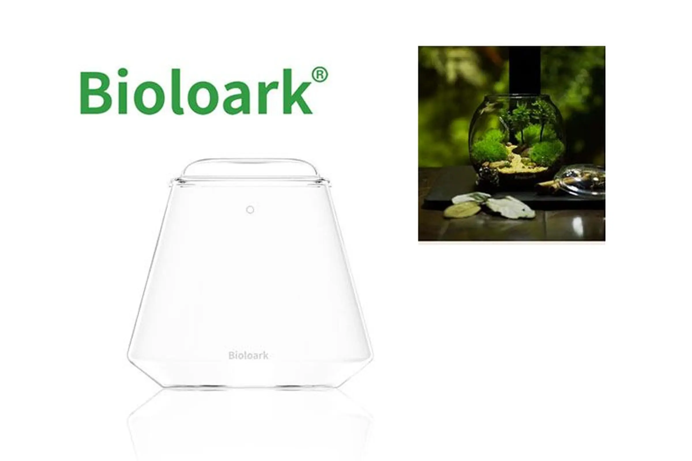 Bioloark Bubble Cup TWO, verre Wabi-Kusa