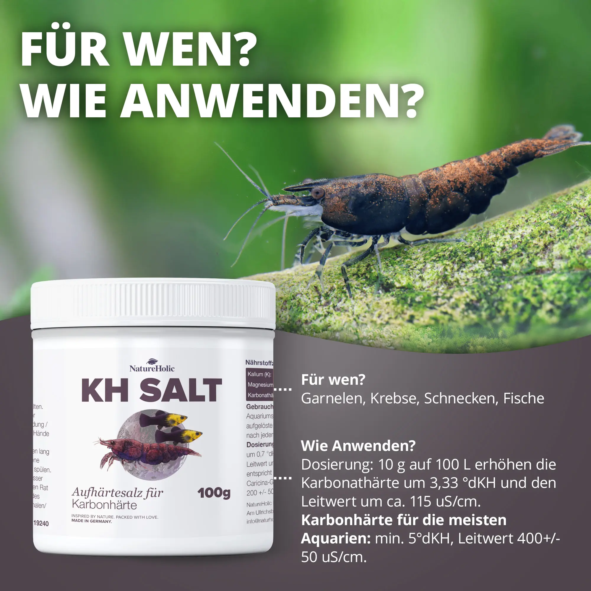 KH Salt 100g-Dose neben Garnele auf Moos