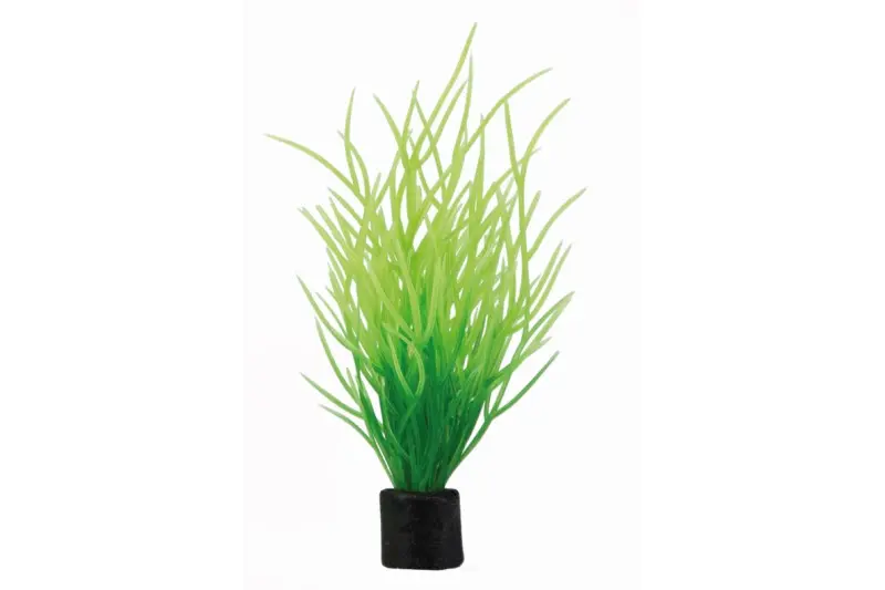Hobby Lilaeopsis mini Plante artificielle