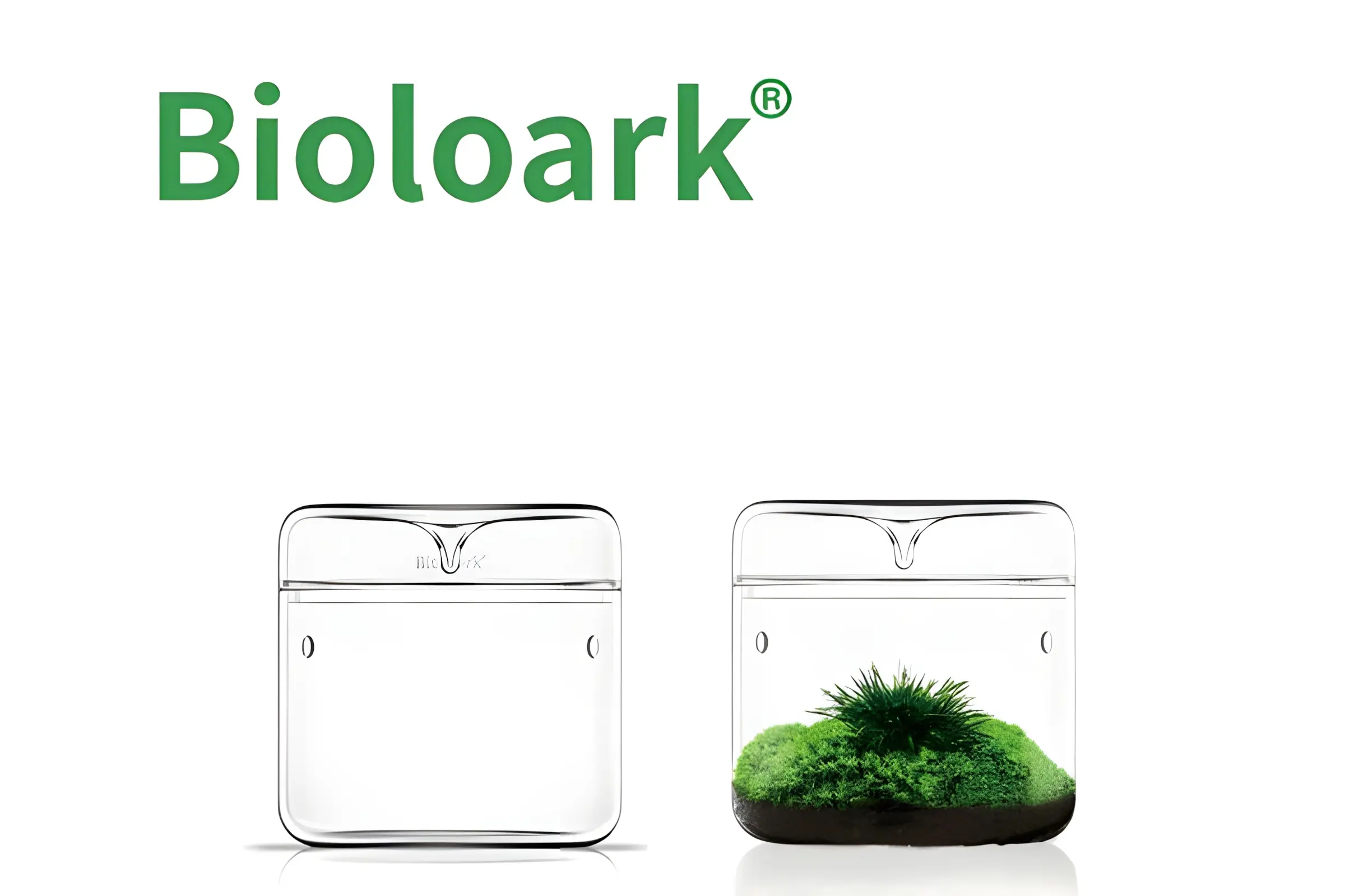 Bioloark Luji Glass Cup MY-120, verre pour biosphère