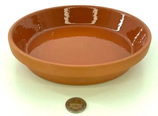 Coupelle de nourrissage émaillée 21,5 x 4,3 cm (Ø20 cm intérieur)