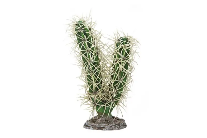 Hobby Cactus Simpson, plante artificielle