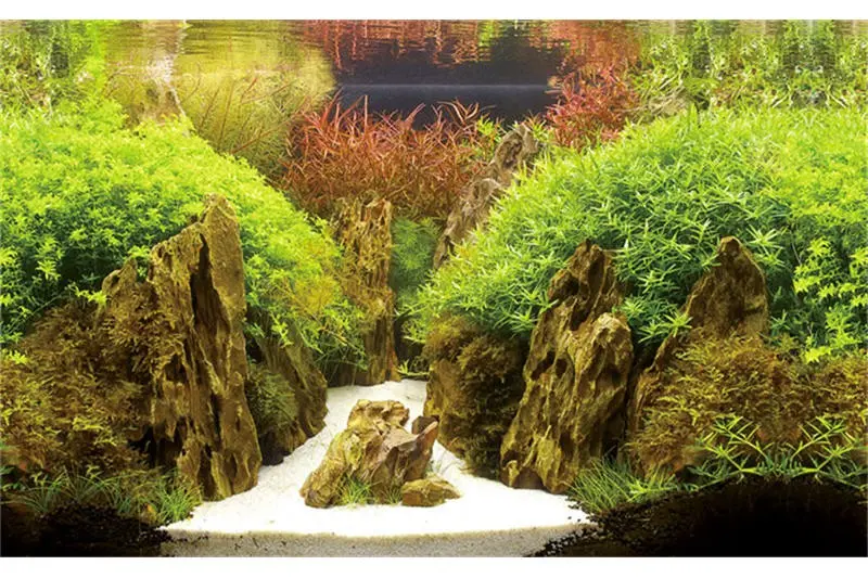 Découpe de fond photo Hobby Canyon/Woodland, 120 cm x 50 cm