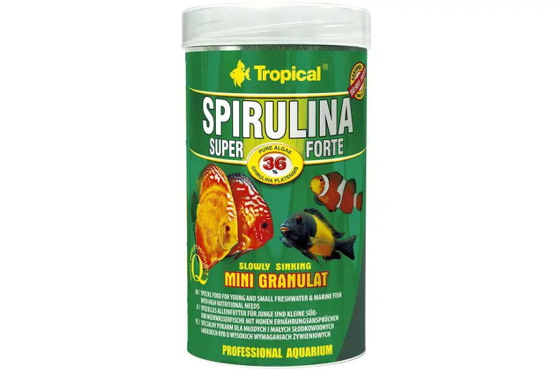 Tropical Spirulina Super Forte 36 % mini granulés, 100 ml