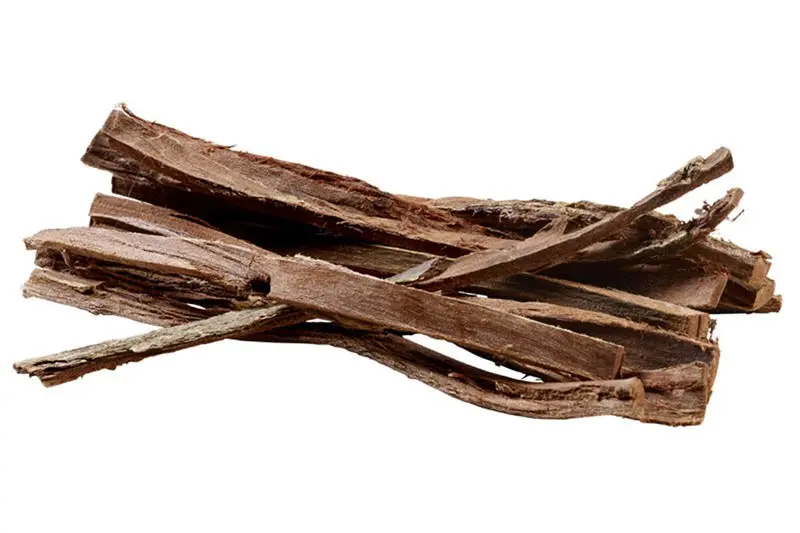 Hobby Catappa Bark, écorce de catappa (amandier de mer), 12 pièces