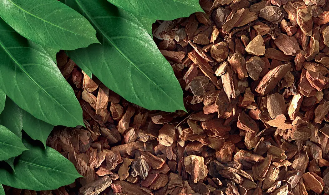 Exo Terra Substrat pour terrarium Forest Bark 8,8 l