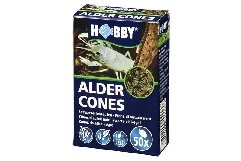Hobby Alder Cones, cônes d’aulne, 50 pièces
