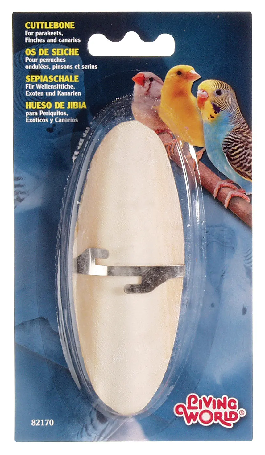 LW Os de seiche petit