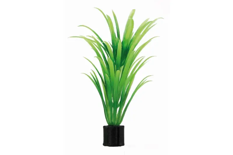 Plante artificielle Hobby Tenellus mini