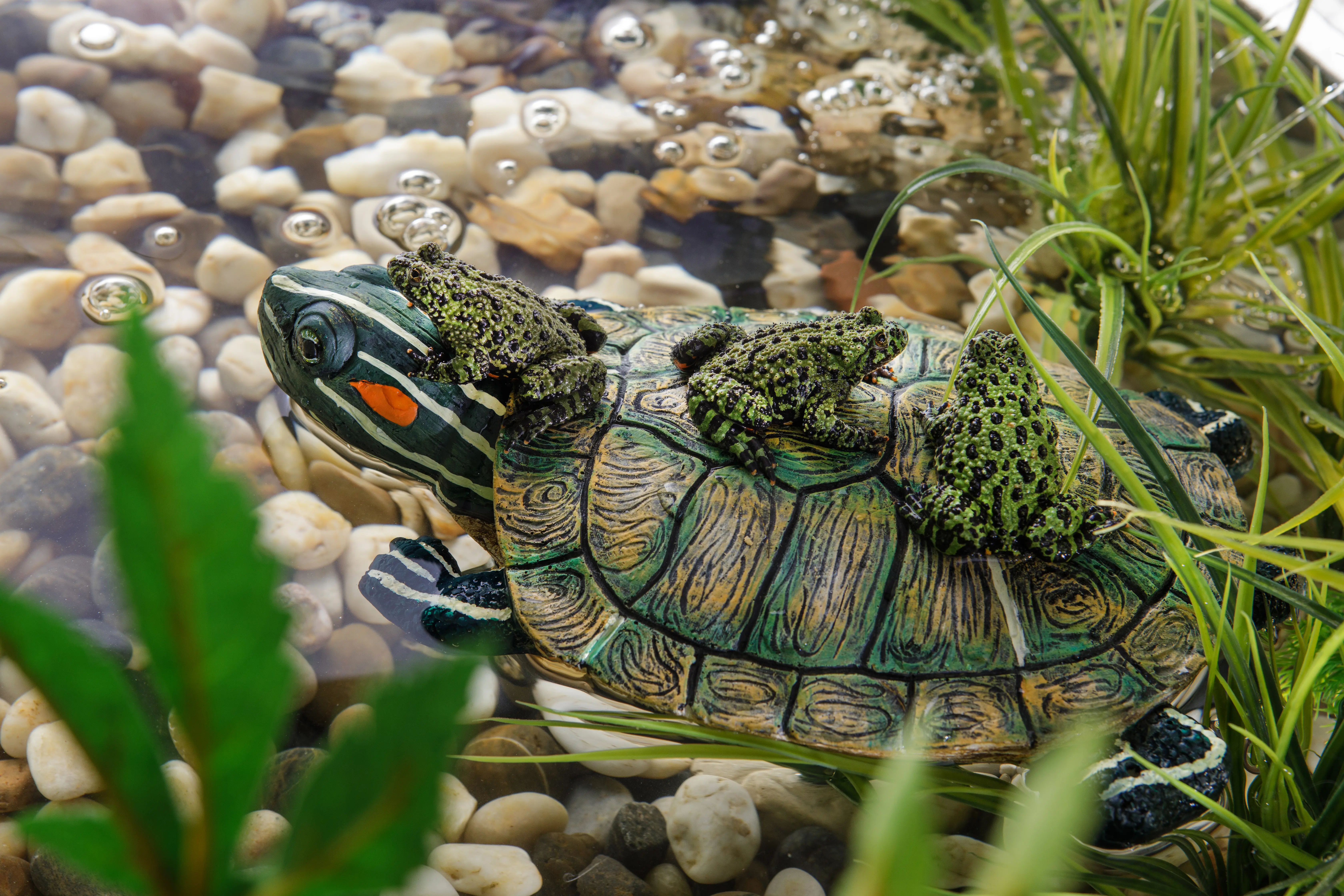 Exo Terra Turtle Island