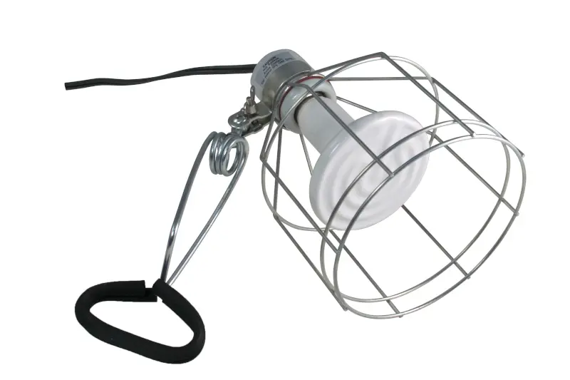 Lampe à pince Zoomed + grille de protection (max 150 W), pour terrariums