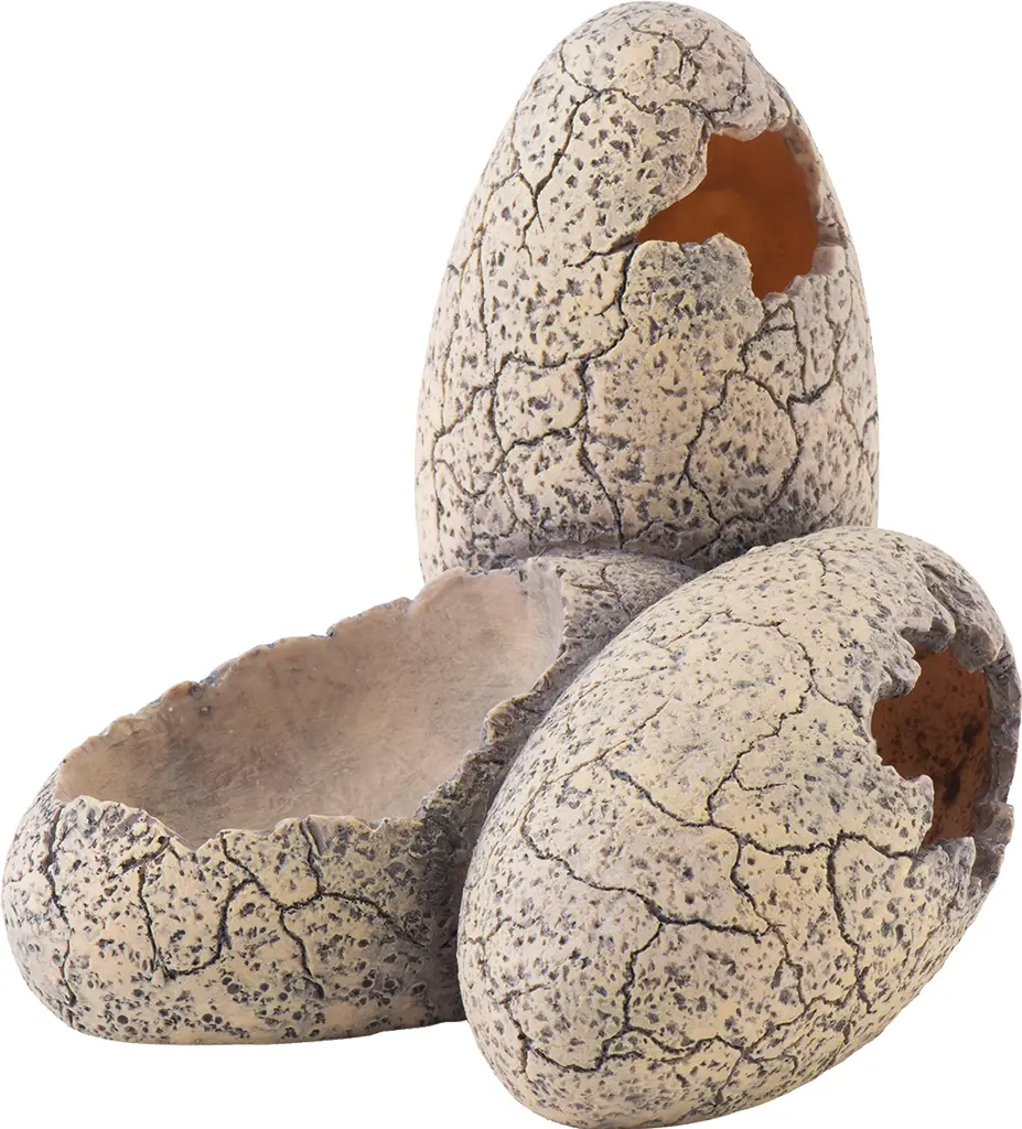 Exo Terra Œufs de dinosaure petits