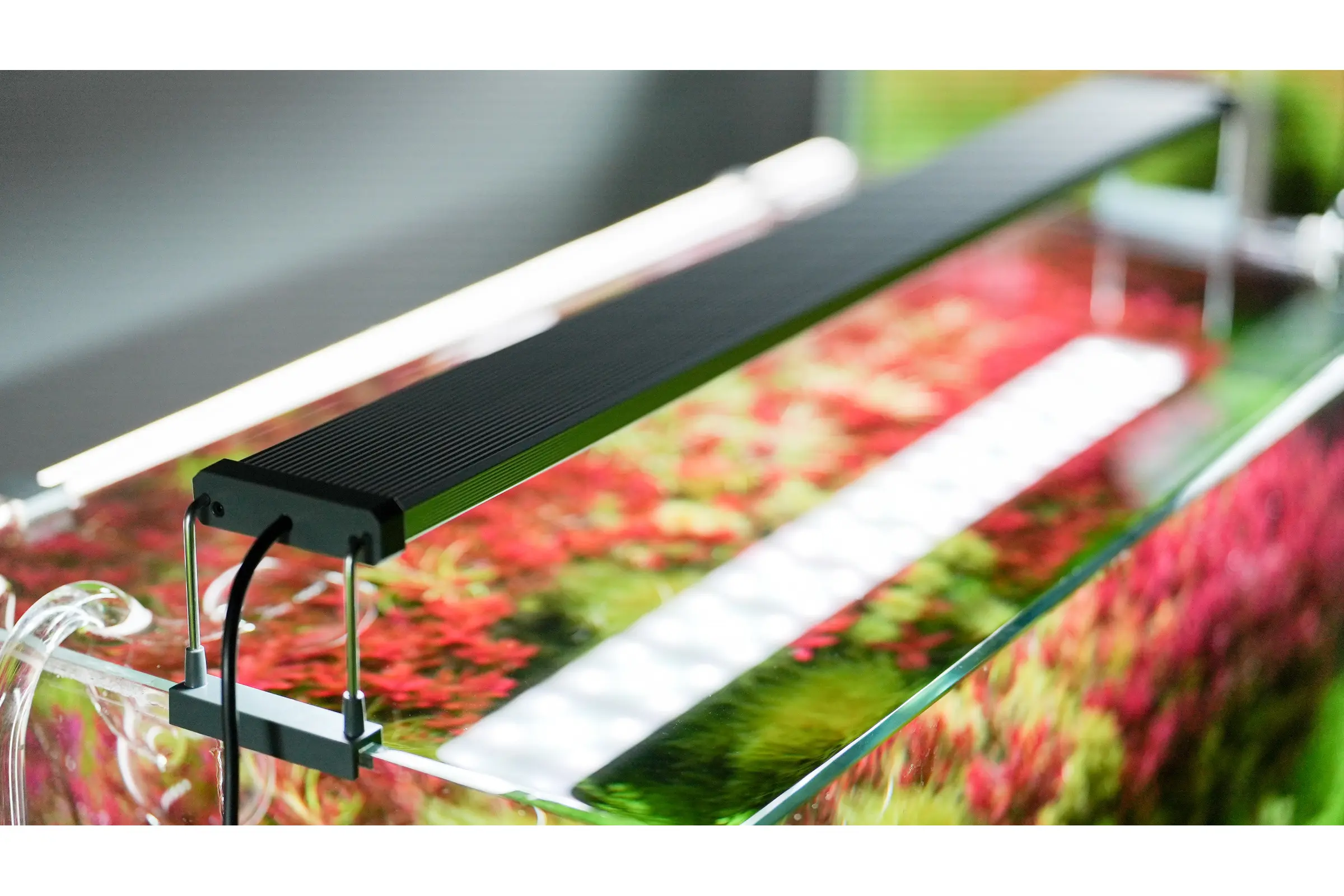 Éclairage LED Chihiros série B, 6 tailles, avec Bluetooth