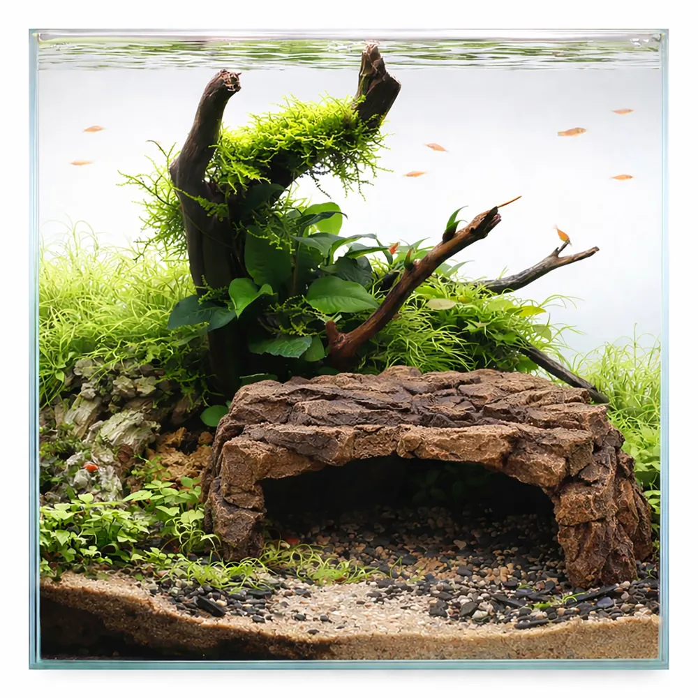 Bepflanztes Nano-Aquarium mit Wurzelholz, Moos und Pflanzen, kleinen Fischen und natürlicher Höhlenversteck-Dekoration aus steinähnlichem Material als Unterschlupf
