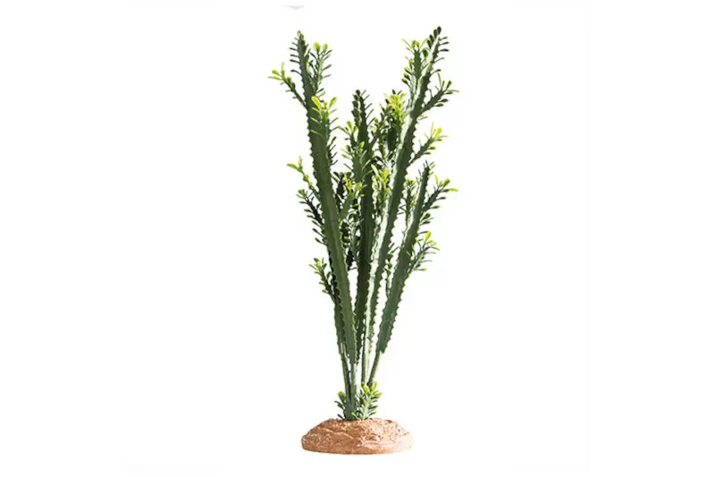 Hobby Euphorbia L, plante artificielle