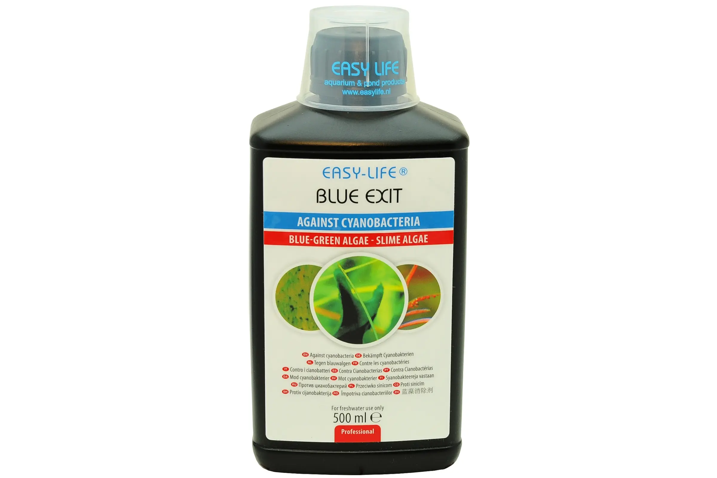 Easy-Life Blue Exit