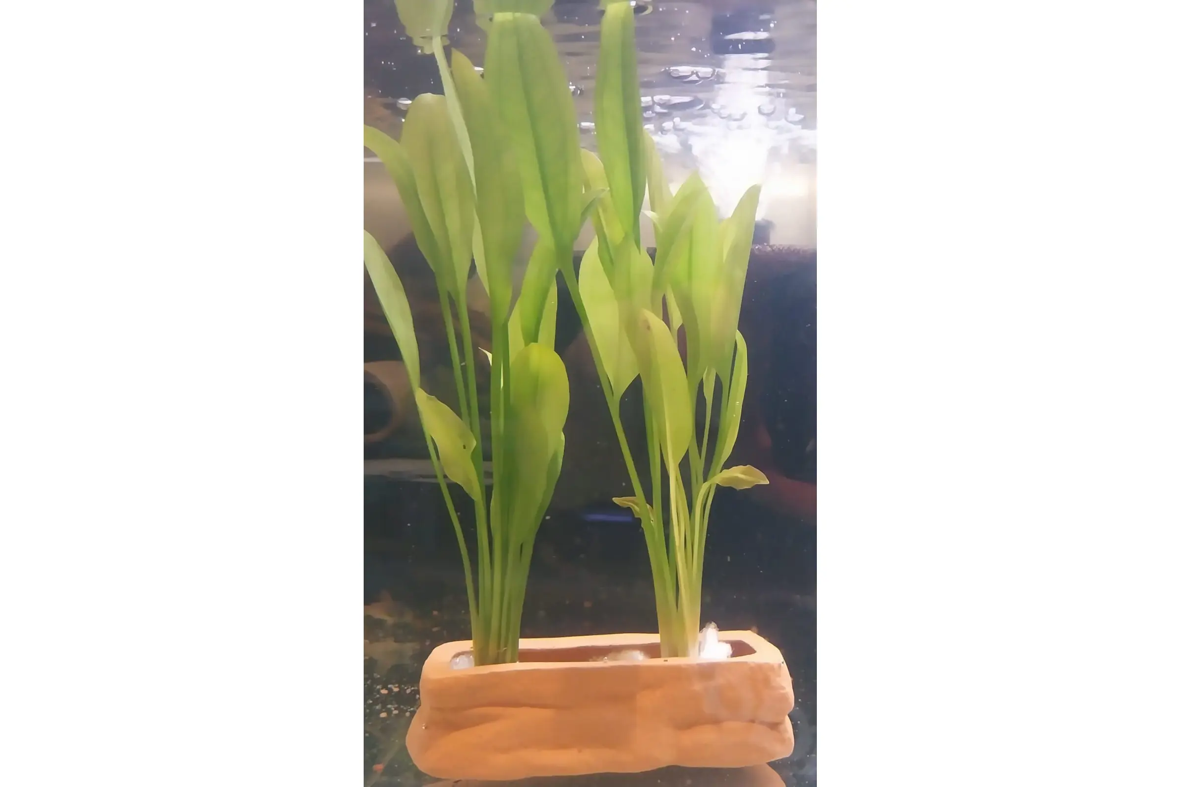 Support de plantation en argile, petit, env. 13,4 × 4 × 4 cm