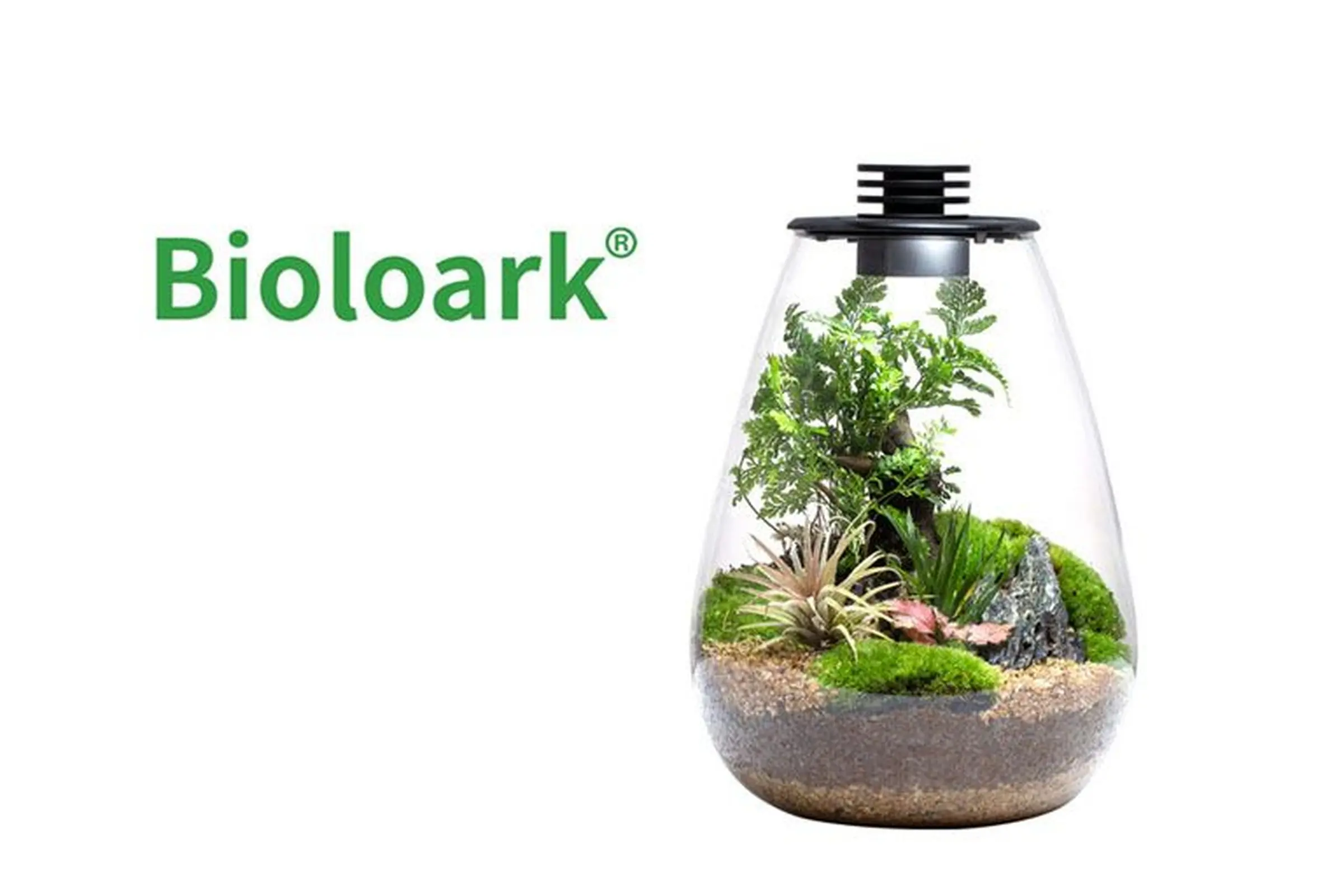 Bioloark Bio Bottle SD175 Wabi-Kusa / biosphère, forme goutte