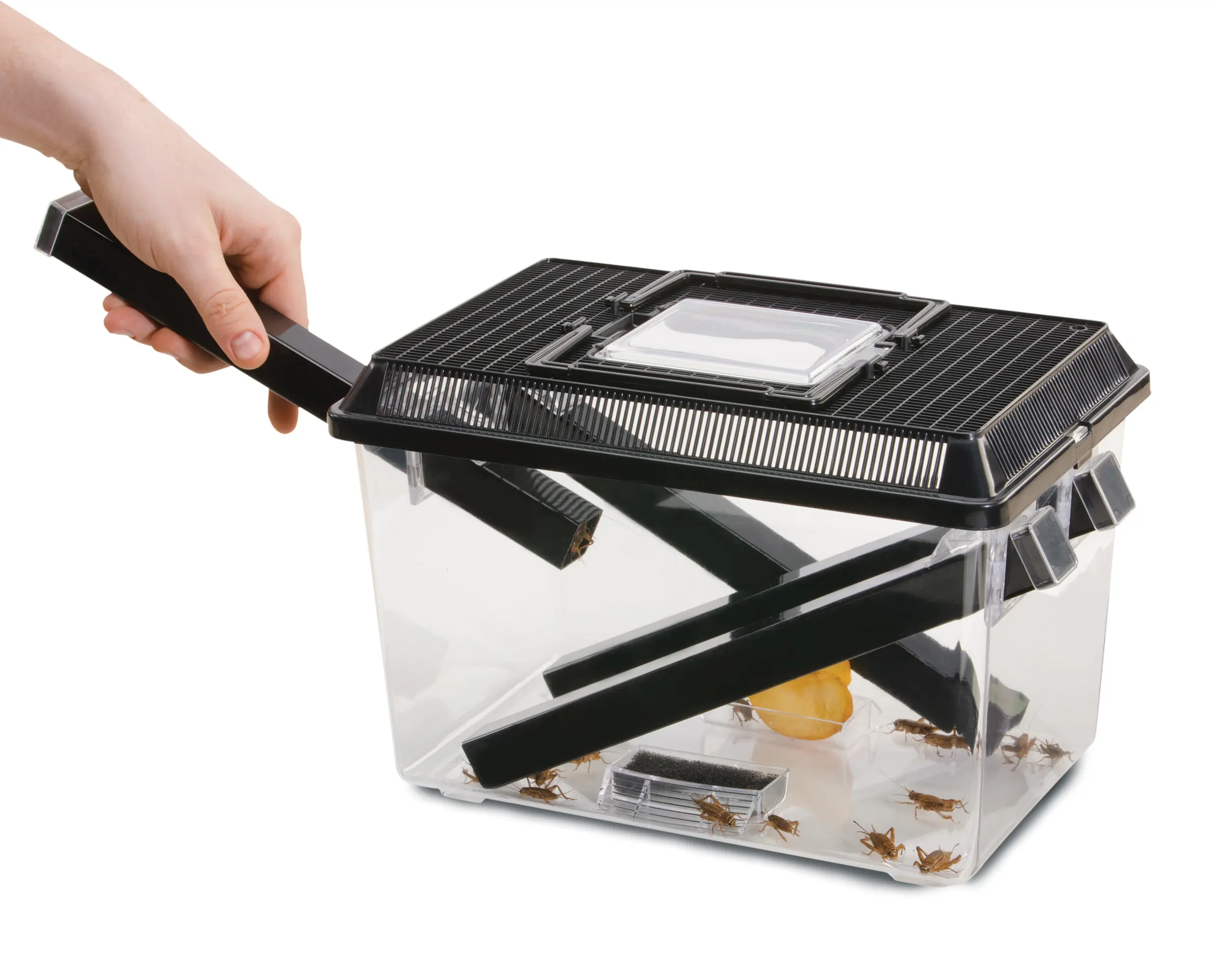 Boîte à grillons Exo Terra avec 3 tubes + 2 éponges
