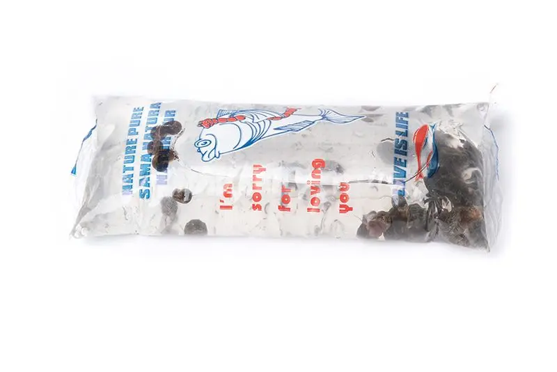 Nourriture vivante XL-Box escargot Planorbe, 200 g