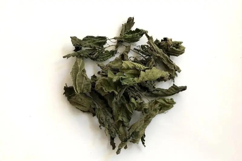 Feuilles d’ortie, 5 grammes