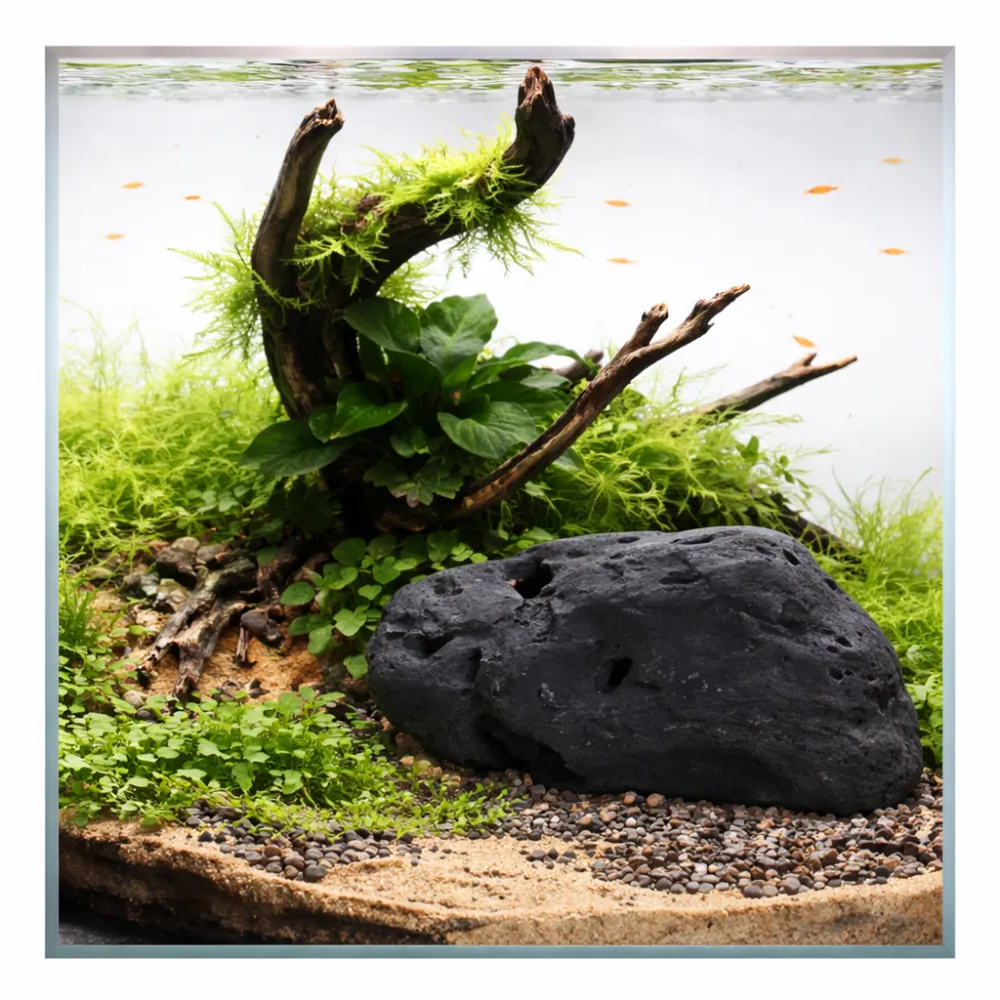 Aquarium-Detail: naturnahes Aquascape mit großem schwarzem Lavastein, moosbewachsener Wurzel, dichtem Bodengrün, Kies- und Sandsubstrat sowie kleinen orangefarbenen Fischen