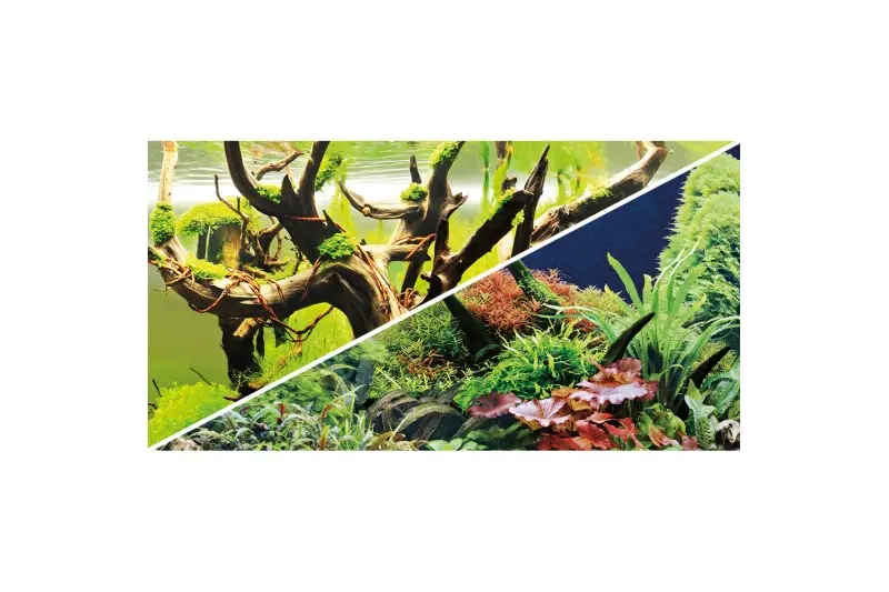 Film de fond Hobby Green Secret/Wood Island, 60 cm x 30 cm