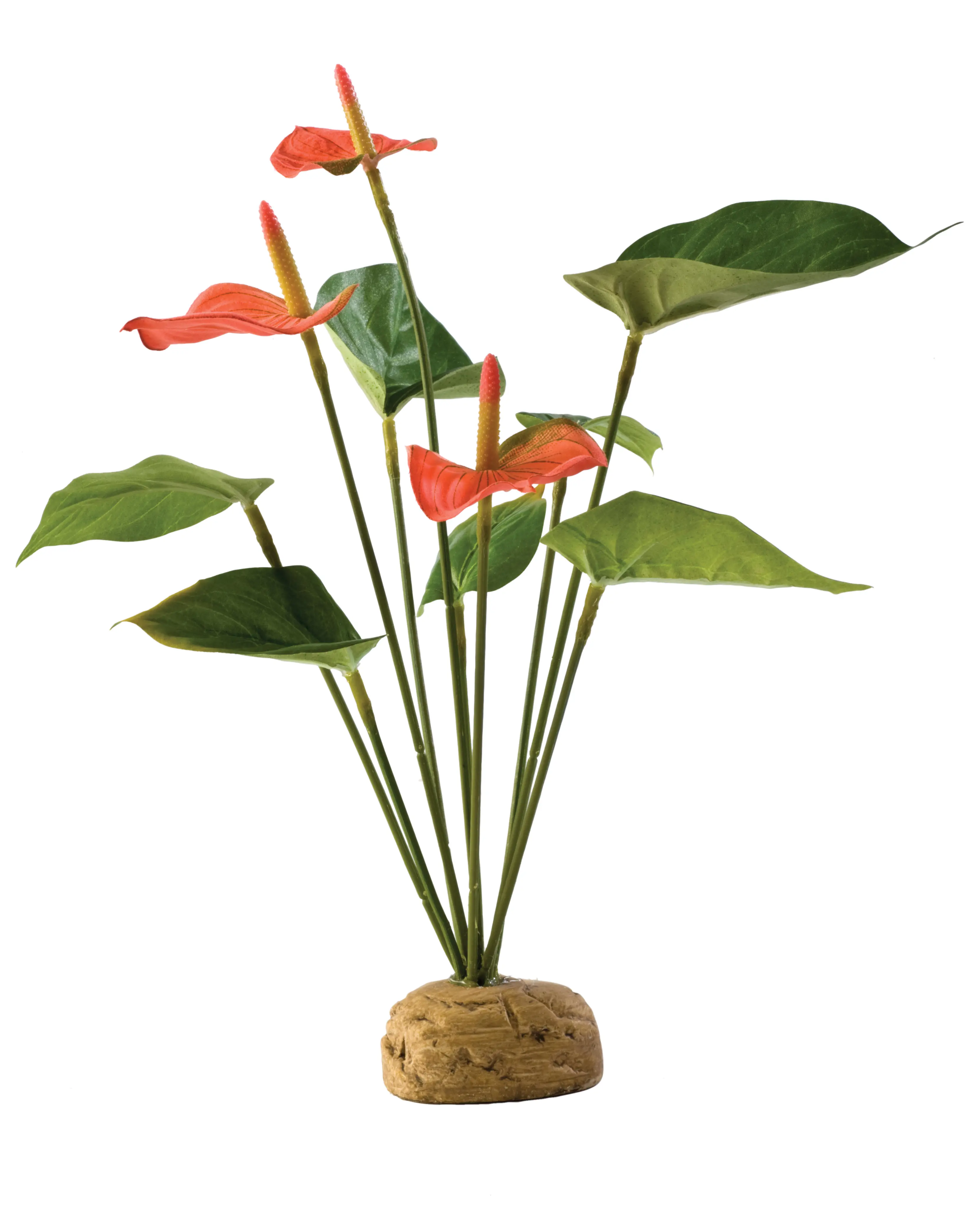 Anthurium artificiel Exo Terra