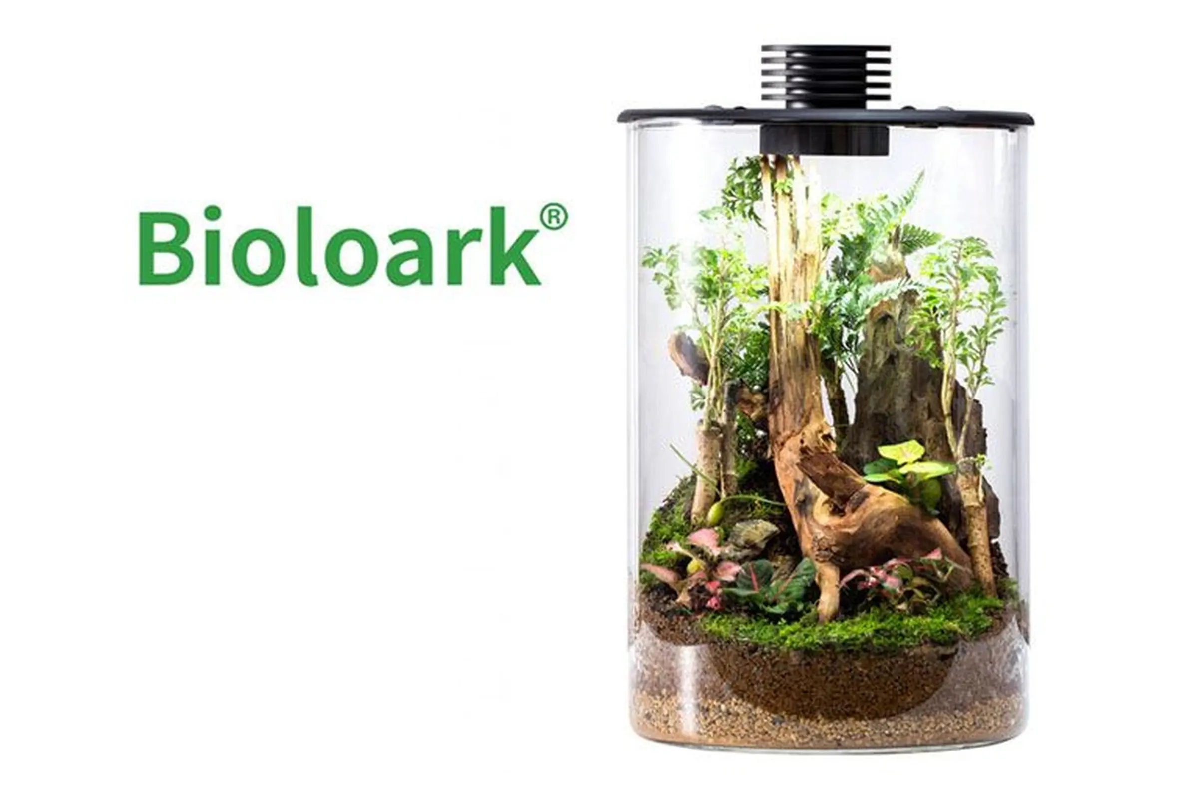 Bioloark Bio Bottle ZD150 Wabi-Kusa / Biosphère, forme cylindrique