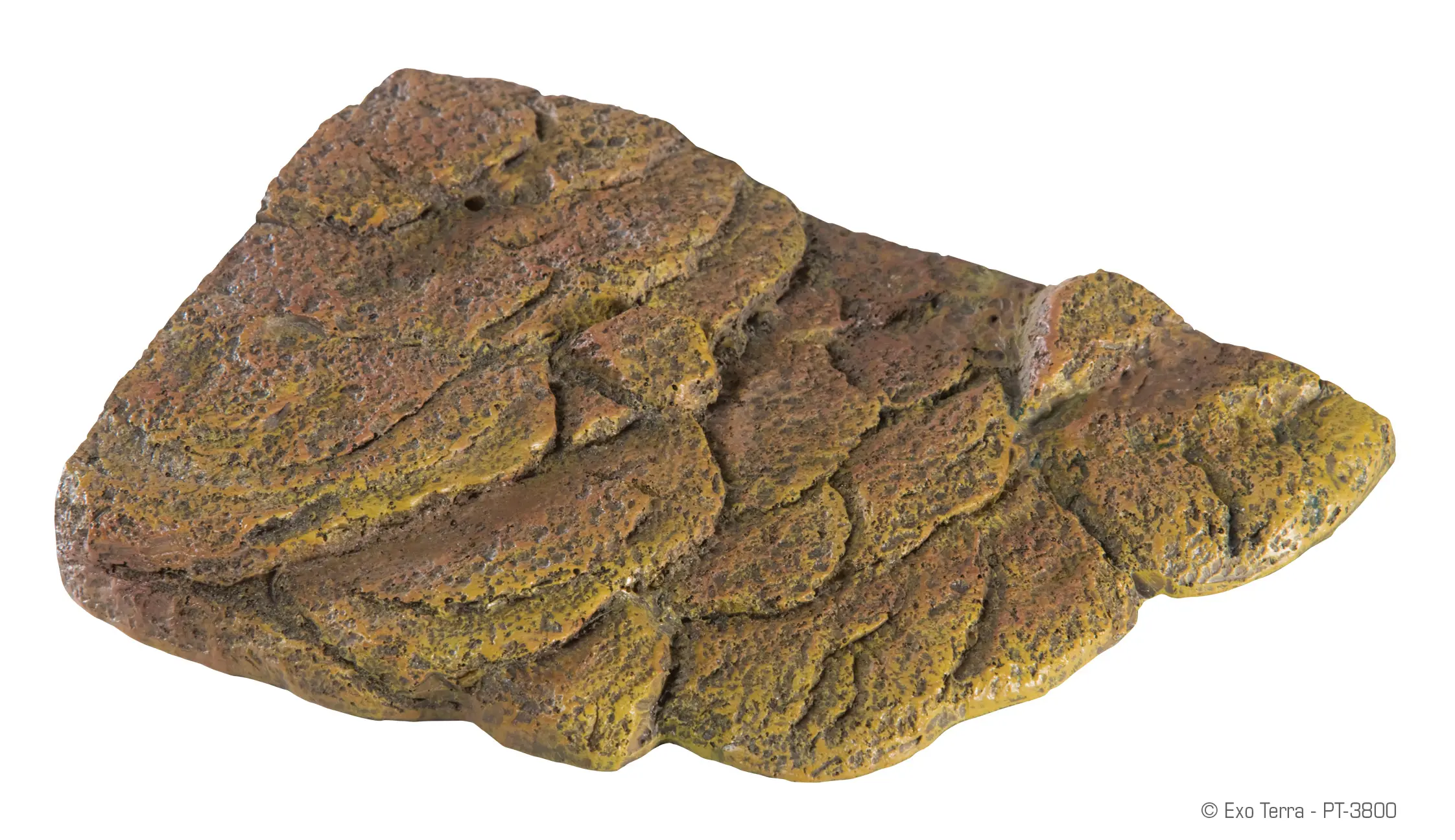 Exo Terra Turtle Bank petite