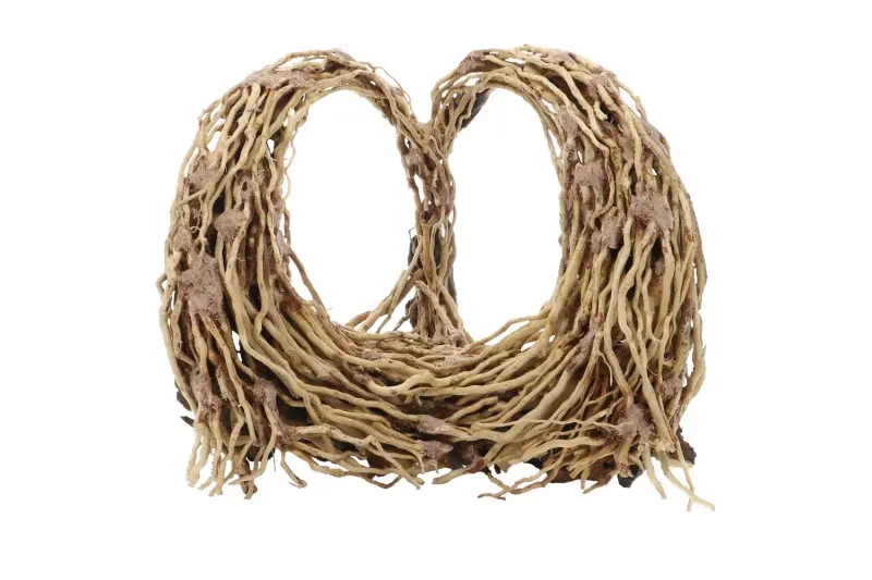 Dupla Heart Root, décoration d’aquarium artisanale