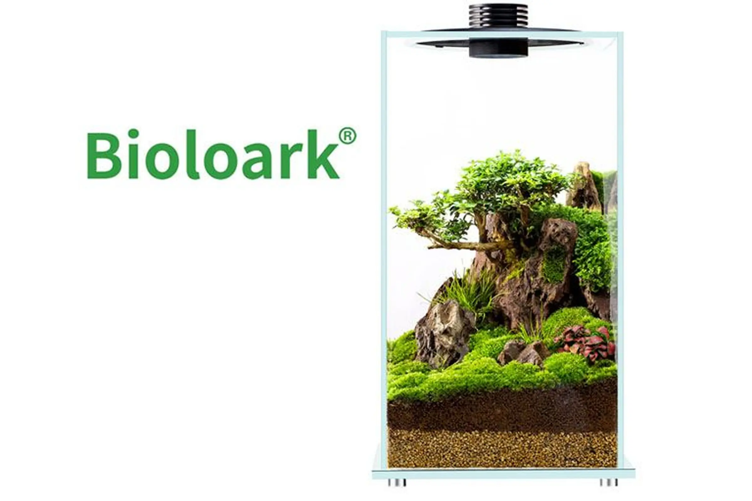 Bioloark Bio Bottle FD250 Wabi-Kusa / biosphère, verre blanc