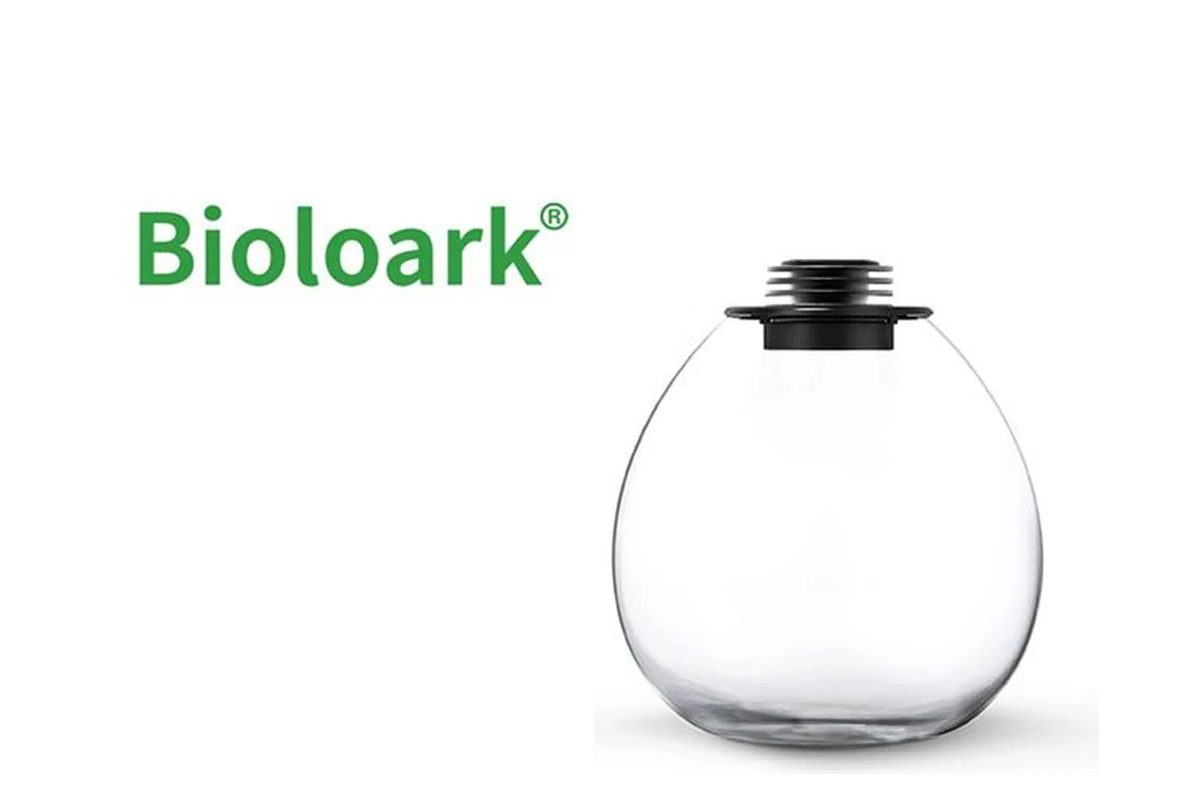 Bioloark Bio Bottle QD172 Wabi-Kusa / biosphère, bocal ventru