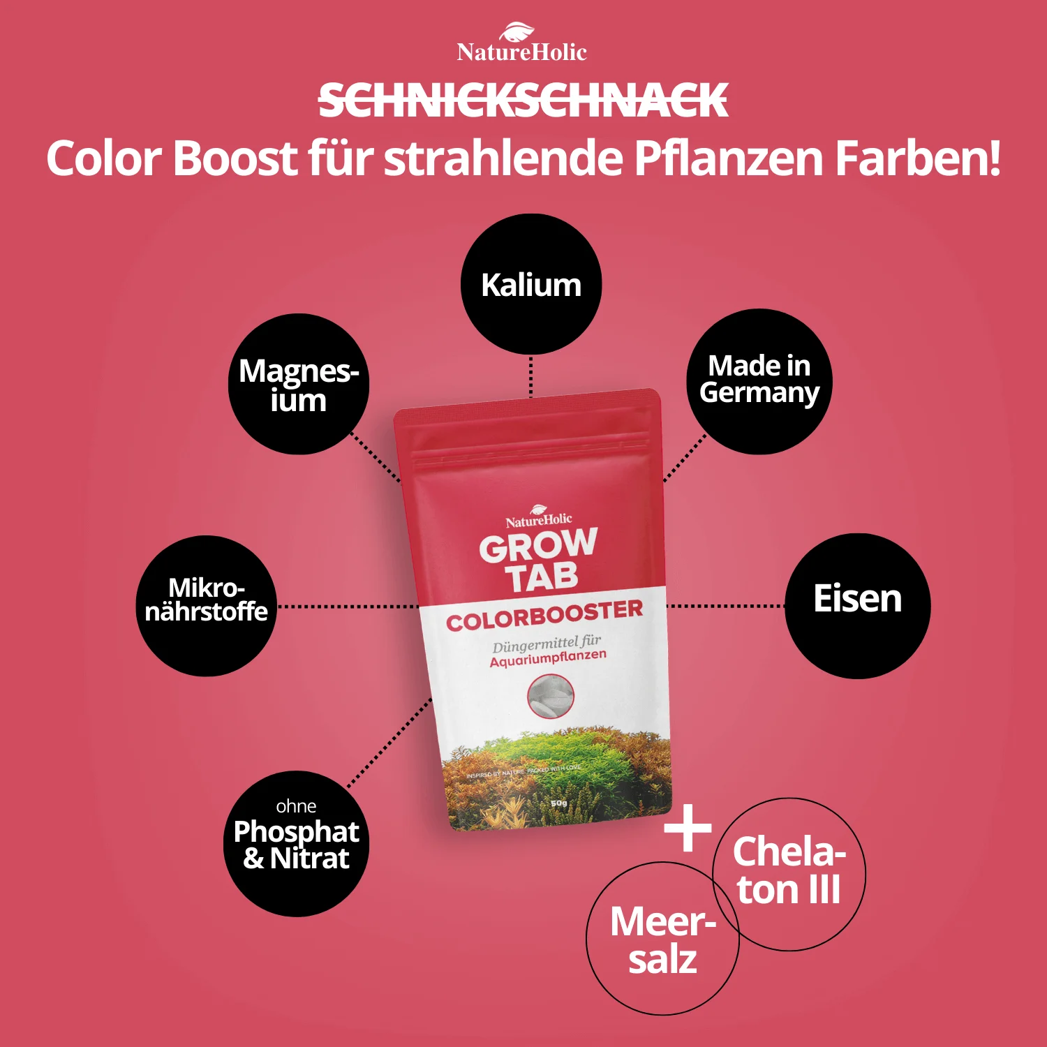 Verpackung: NatureHolic Grow Tab Colorbooster Dünger