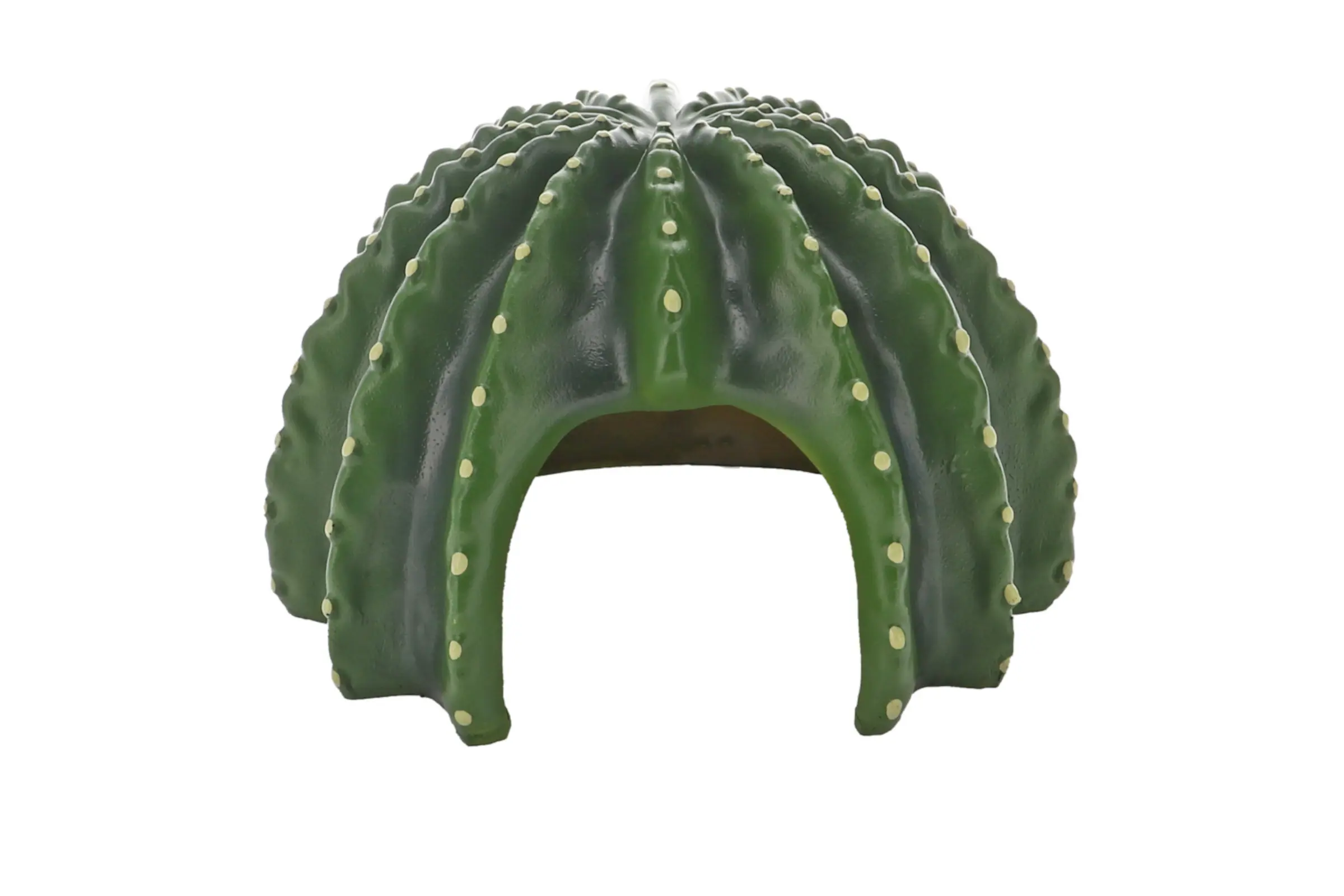 Hobby Cactus Home 4