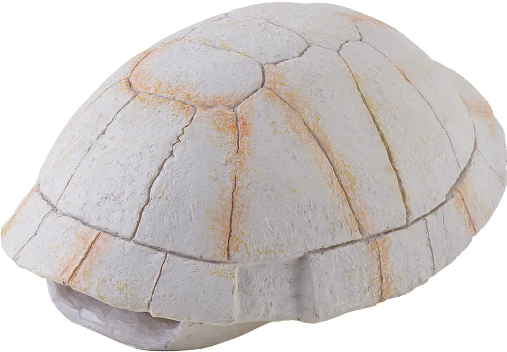 Squelette de tortue terrestre Exo Terra