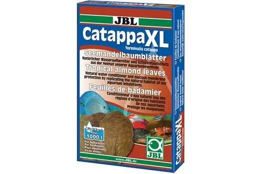 JBL Catappa XL, feuilles de catappa, 10 pièces