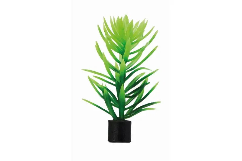 Plante artificielle Hobby Didiplis mini