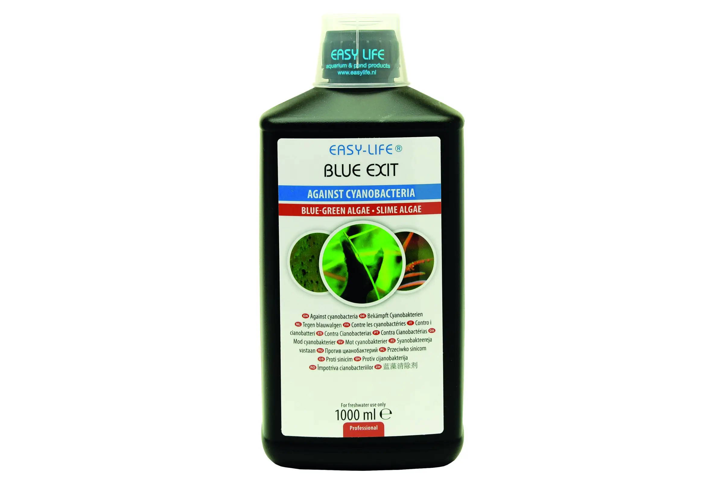 Easy-Life Blue Exit