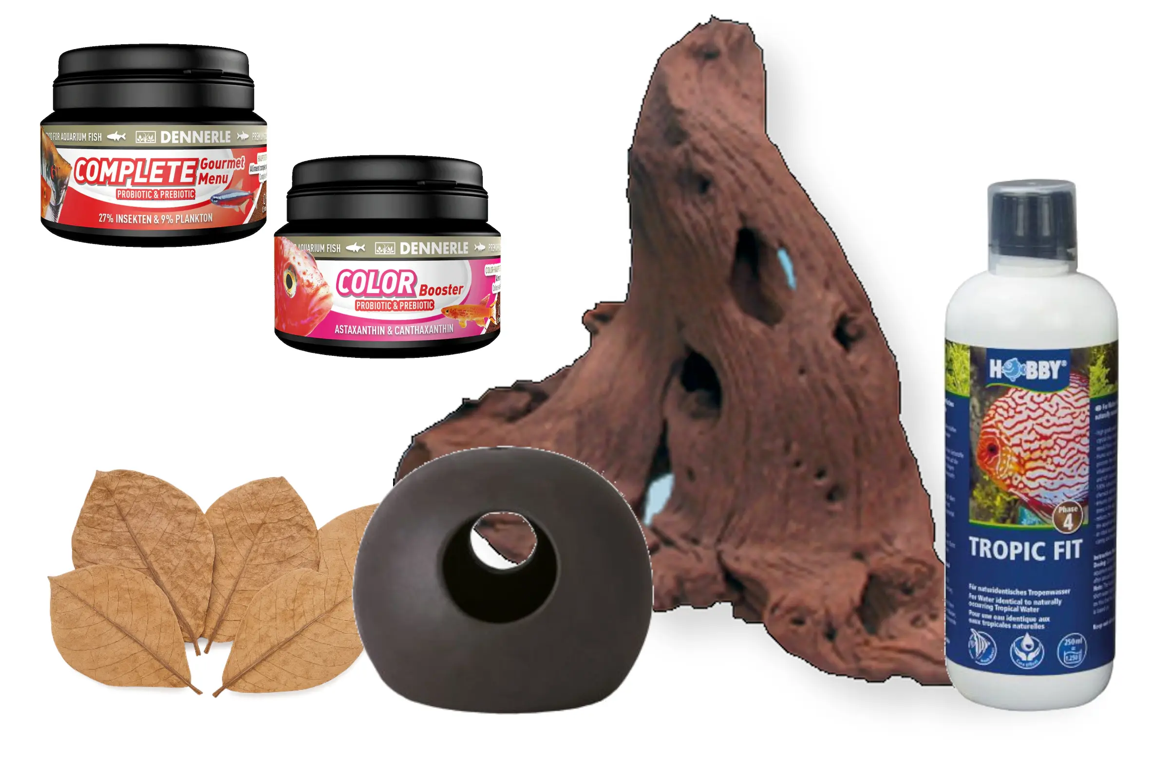 Kit complet de démarrage Apistogramma : déco, nourriture et plus