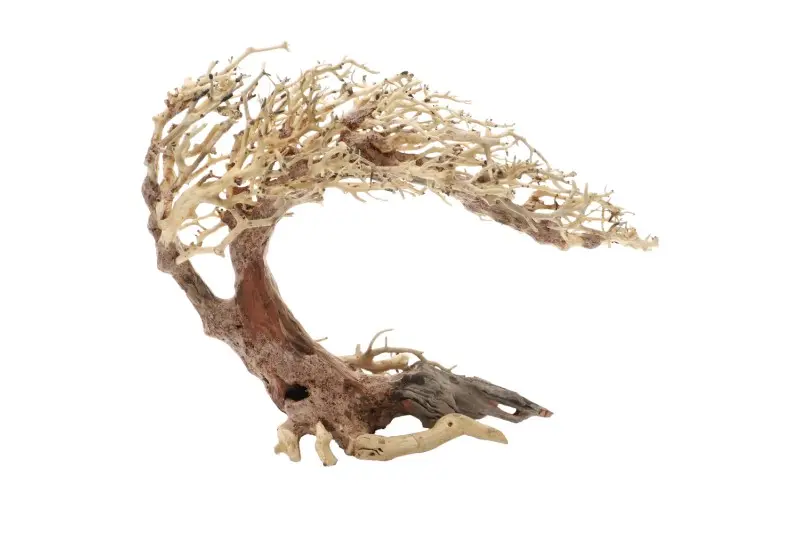 Dupla Crooked Root L, décoration d’aquarium faite main