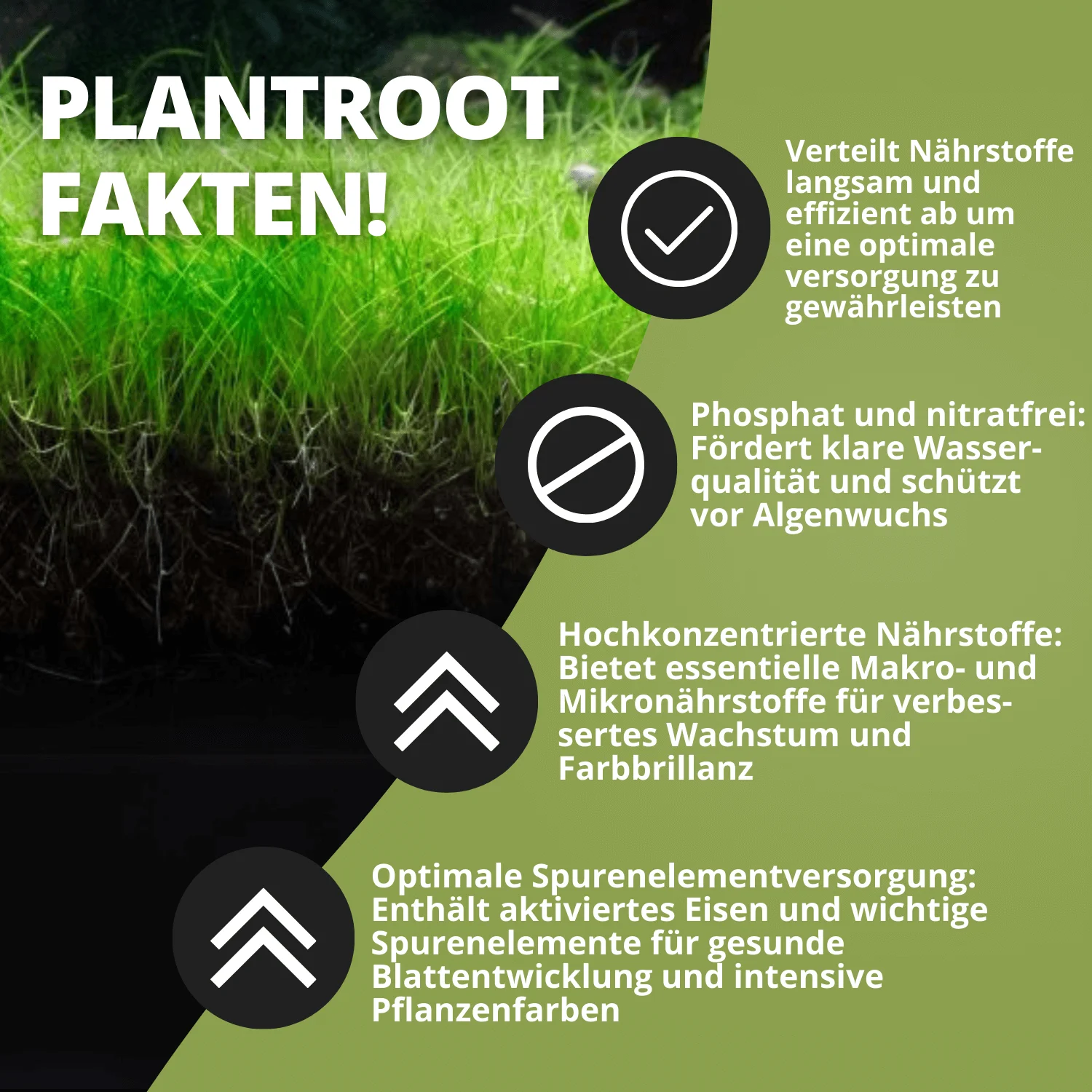 Nahaufnahme von Pflanzenwurzeln und Nährstoffinfos