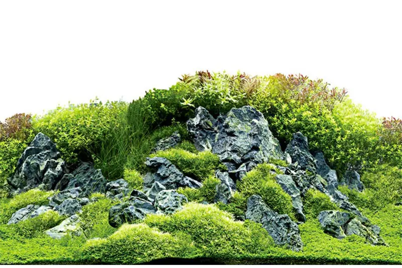Découpe de fond photo Hobby Scapers Hill/Scapers Forest, 100 cm x 50 cm