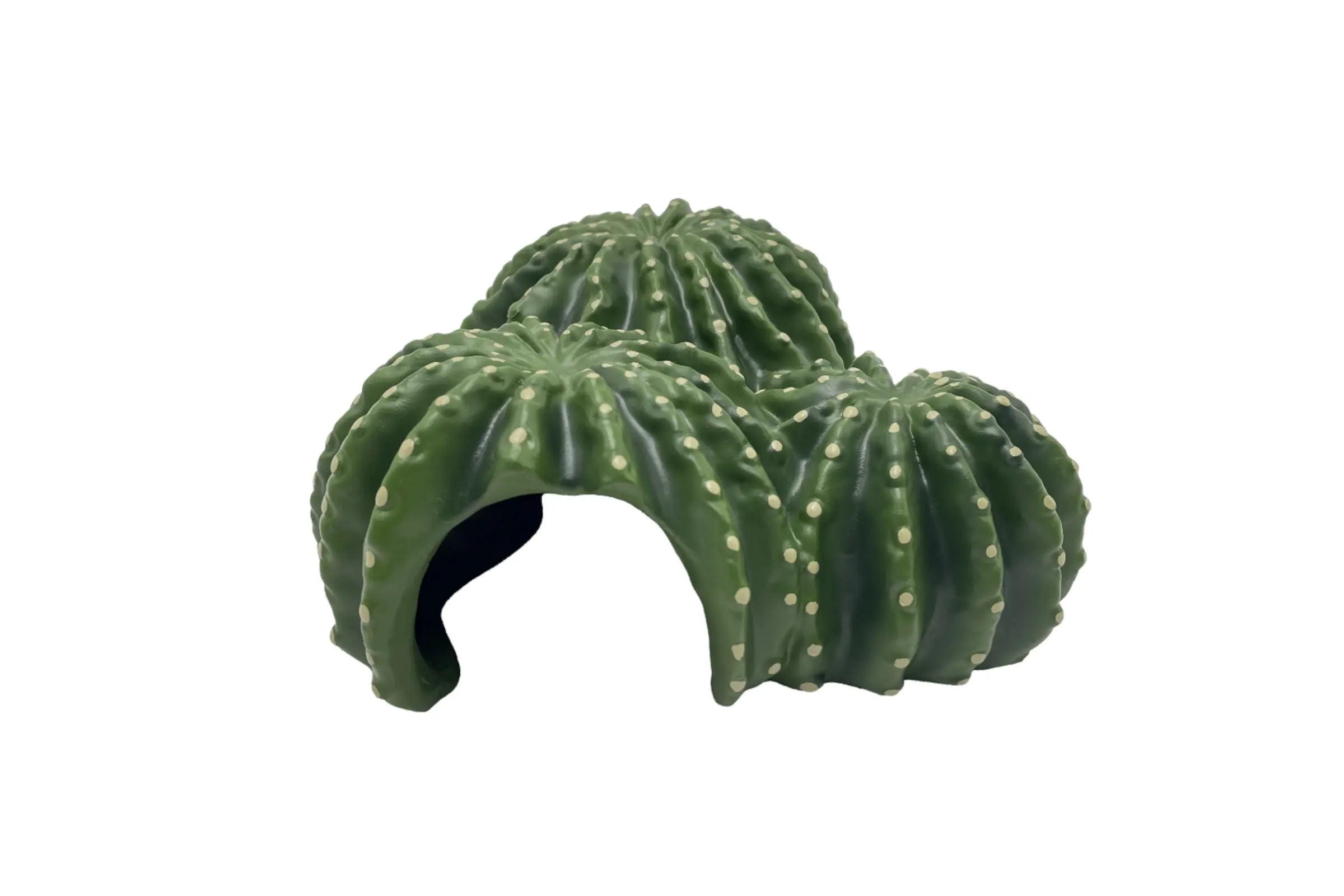 Hobby Cactus Home 5