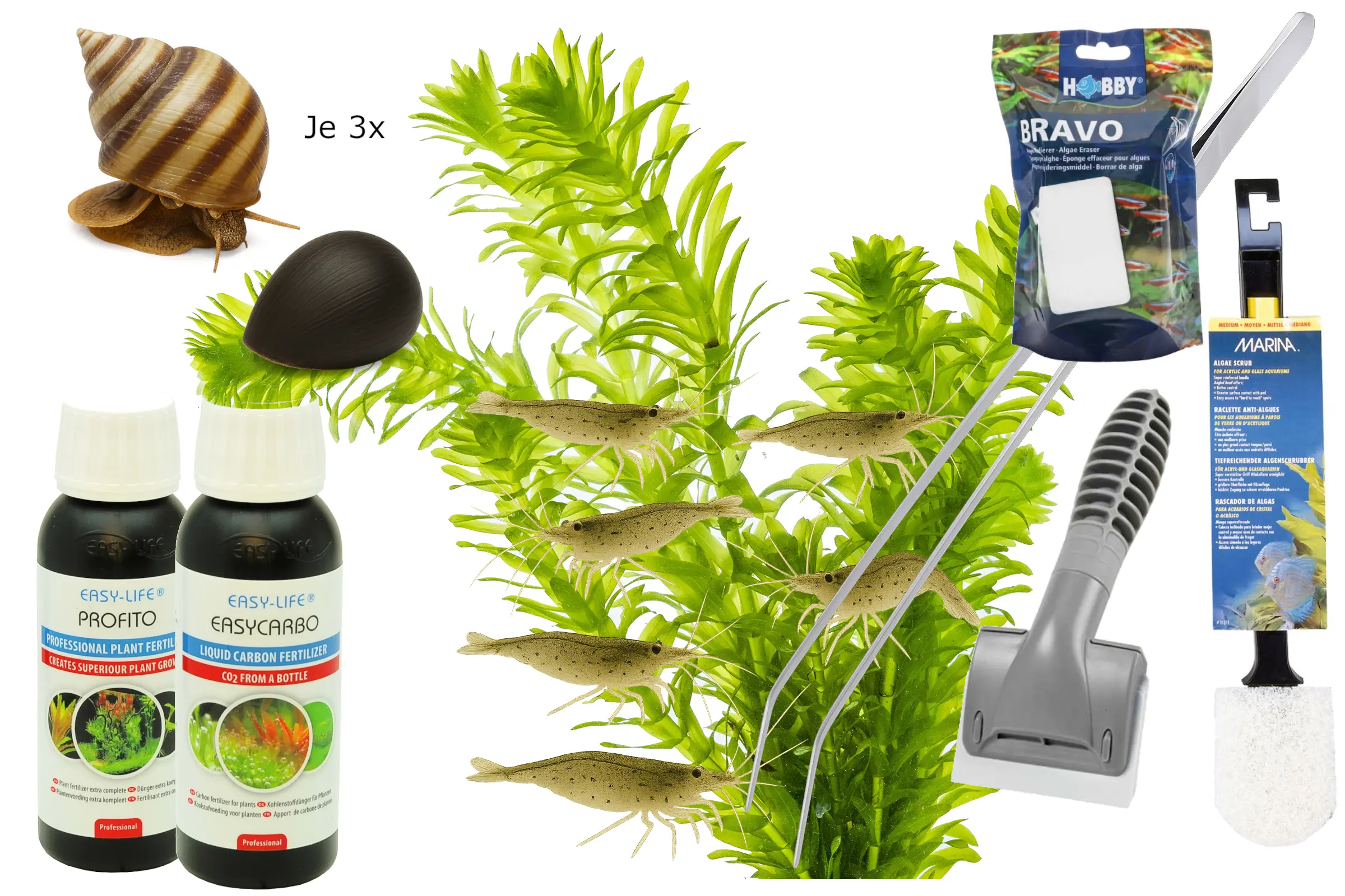 Kit anti-algues avec crevettes, escargots et accessoires