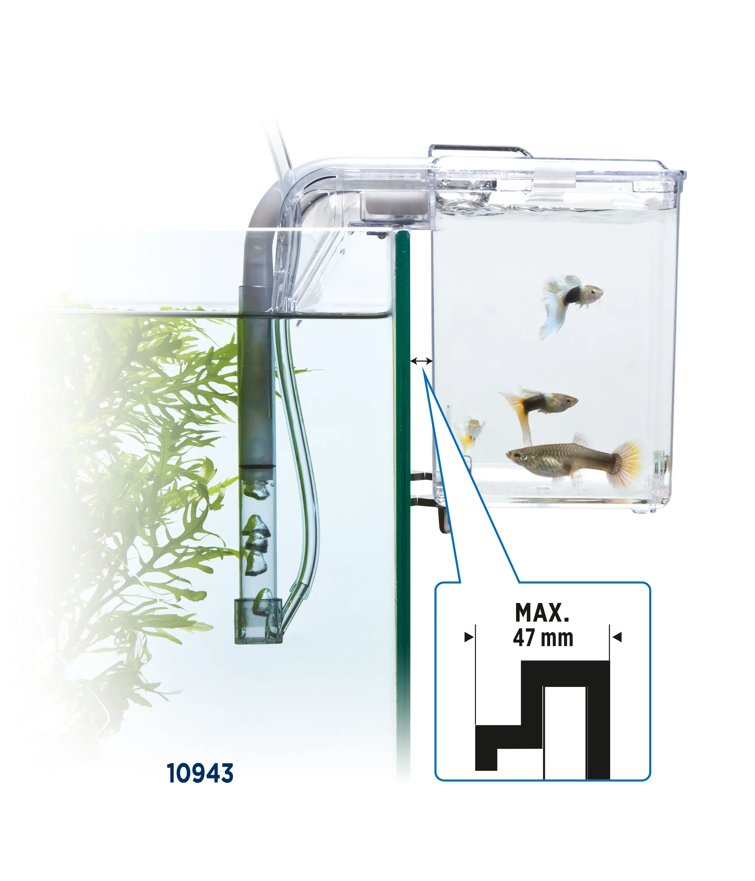 Fluval Bac d’élevage Hang On L (2 ,0 l)